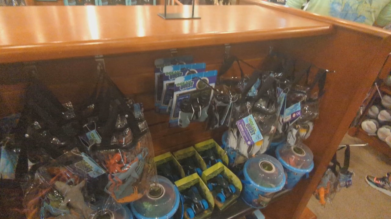 Zoo Marketplace - Toy Stores Near Me - Powell, Ohio
