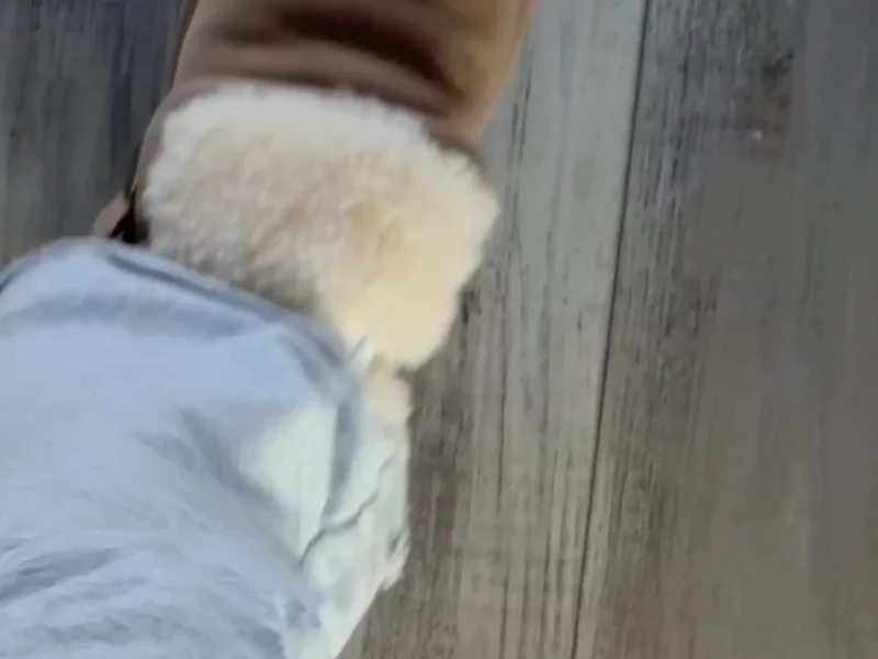 Ugg Express Winter