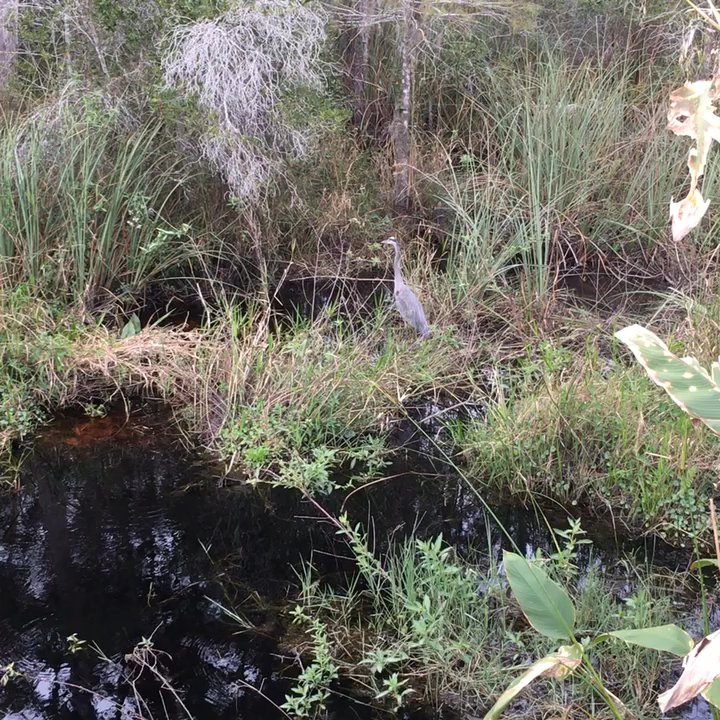 Suncoast Trail - Parks Near Me - Land O' Lakes, Florida