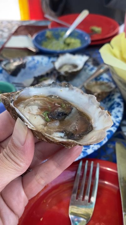 Salsalito Taco Shop - Oysters and fun - Mexican Near Me - Sausalito, California