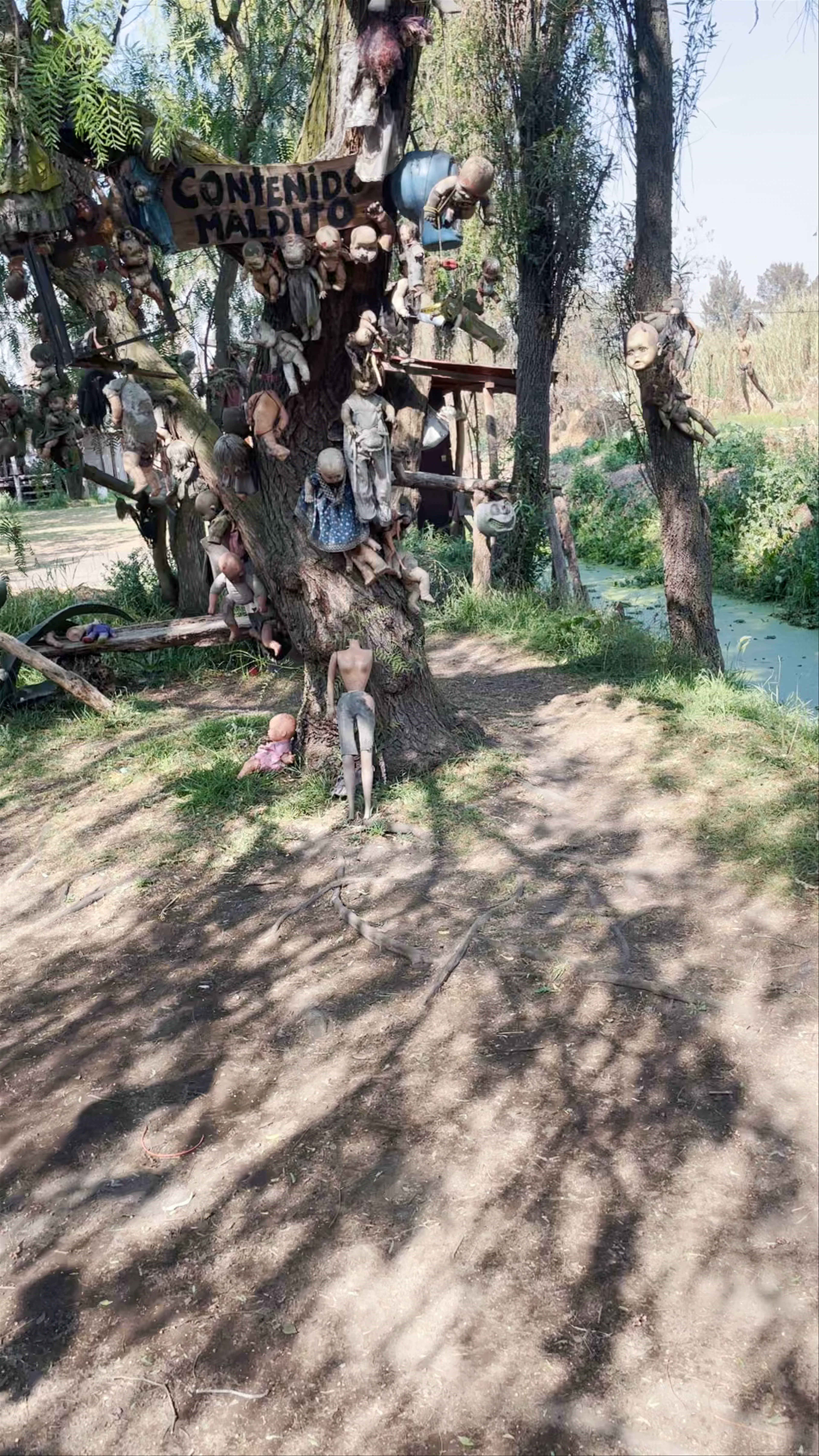 La Isla de las Muñecas: A Haunting Journey in Xochimilco, Mexico City