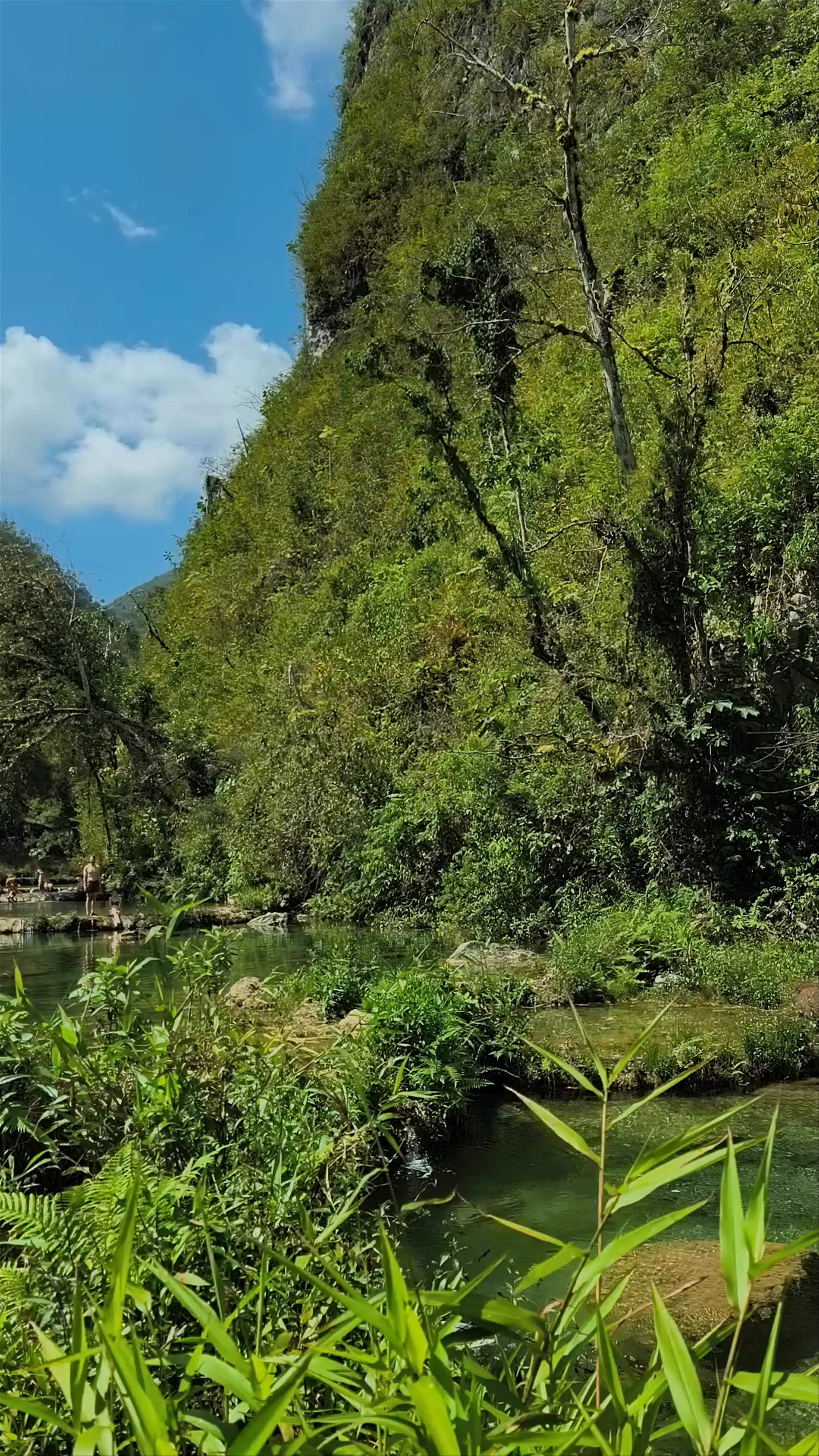 Semuc Champey