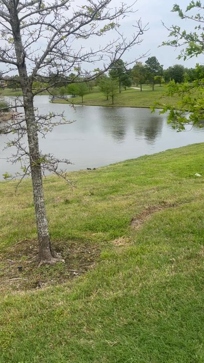 Bridgeland - Visitor Centers Near Me - Cypress, Texas