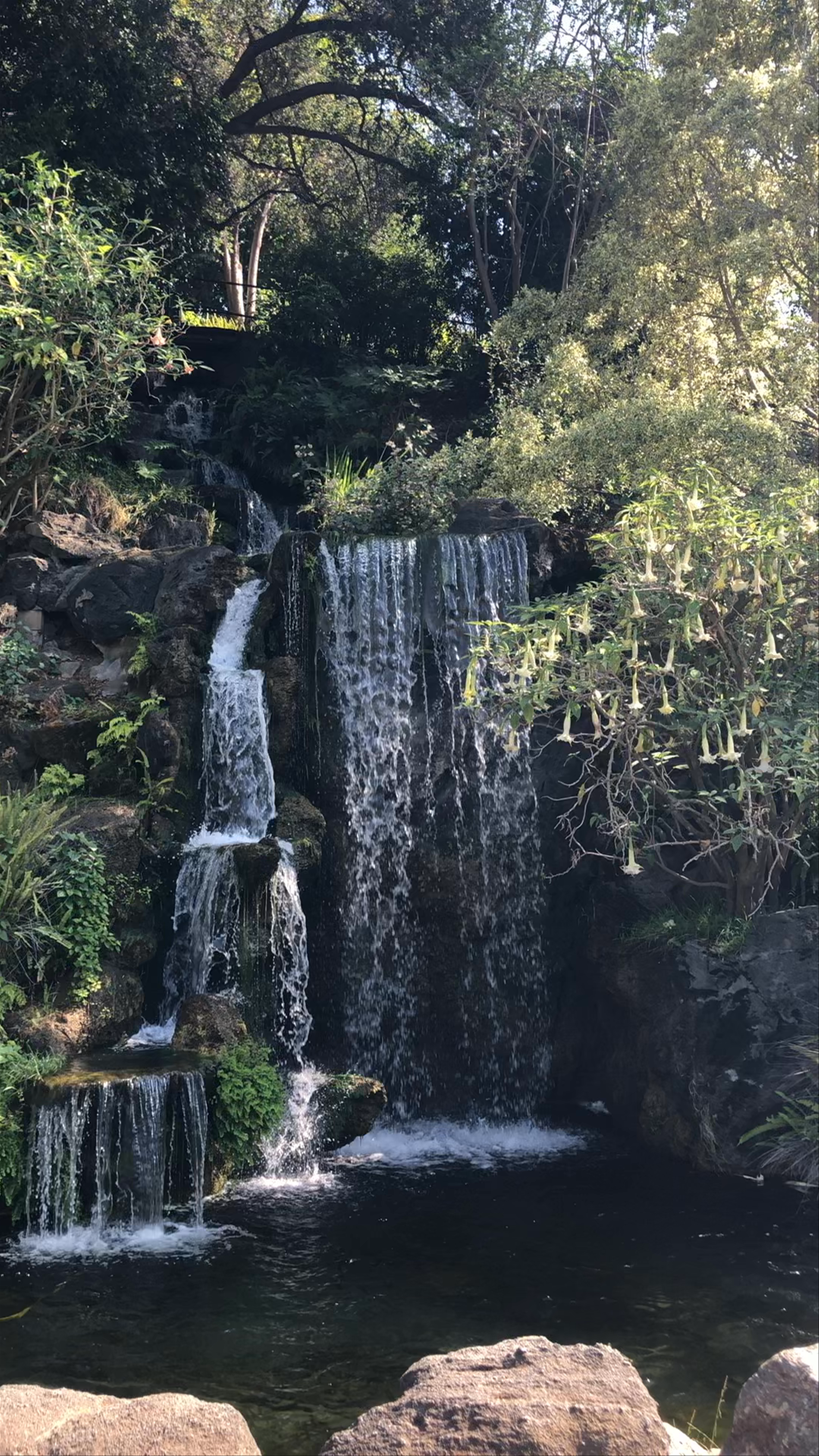 Los Angeles County Arboretum