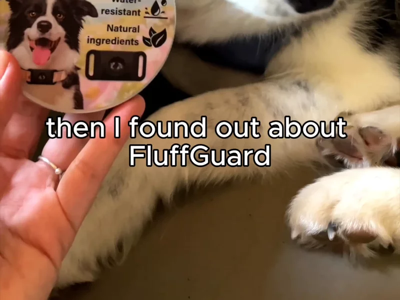 UGC for FluffGuard dog collar tag