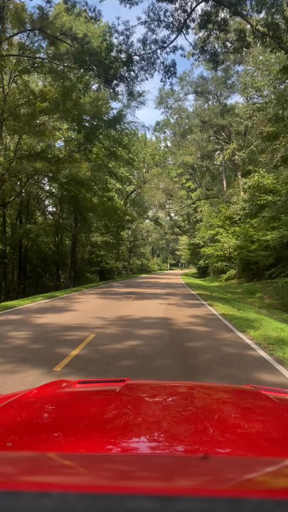 Natchez Trace Parkway - Driving on the Natchez Trace Parkway, Fall 2022 - Parks Near Me - Tupelo, Mississippi