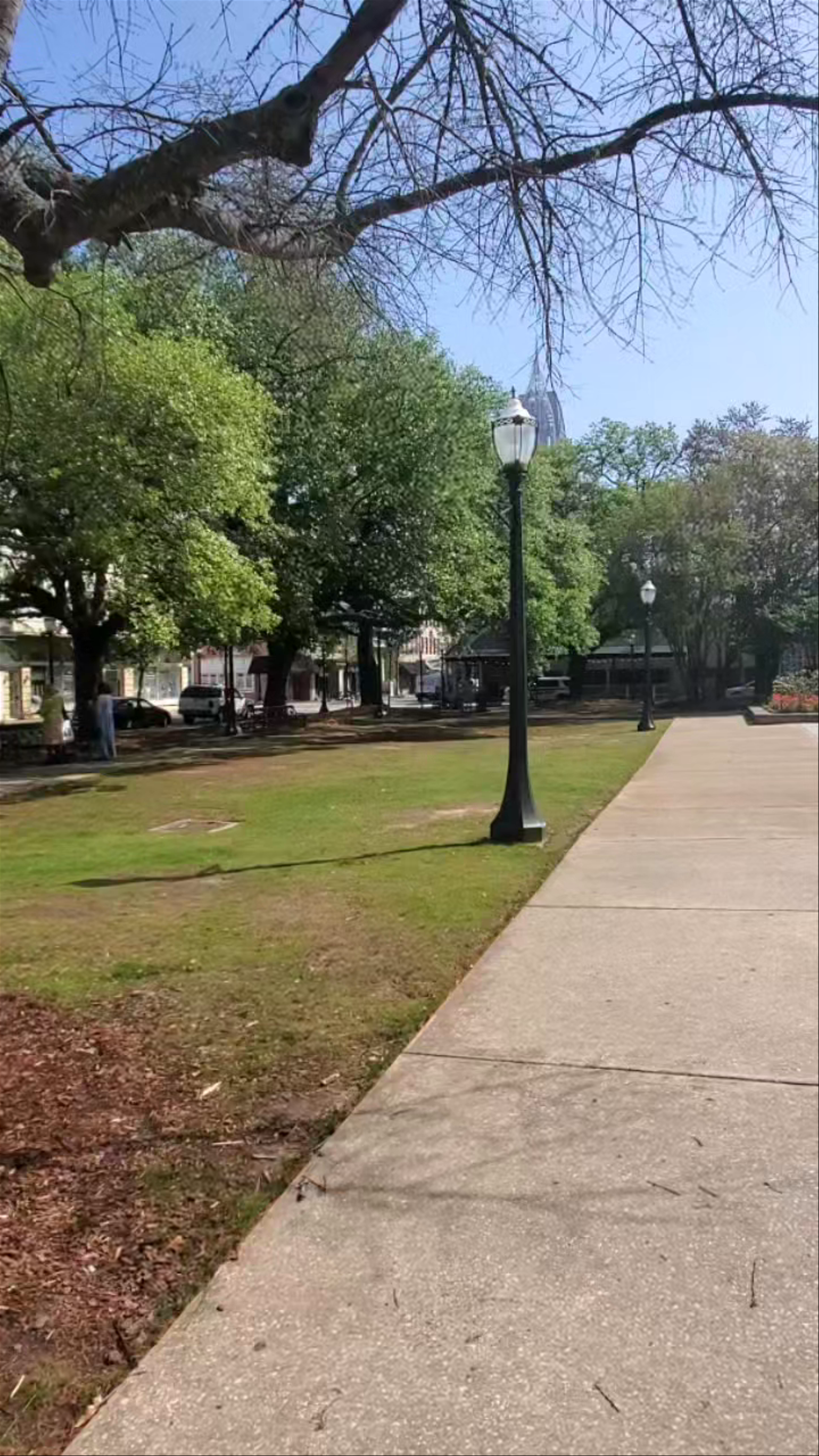 Cathedral-Basilica of the Immaculate Conception