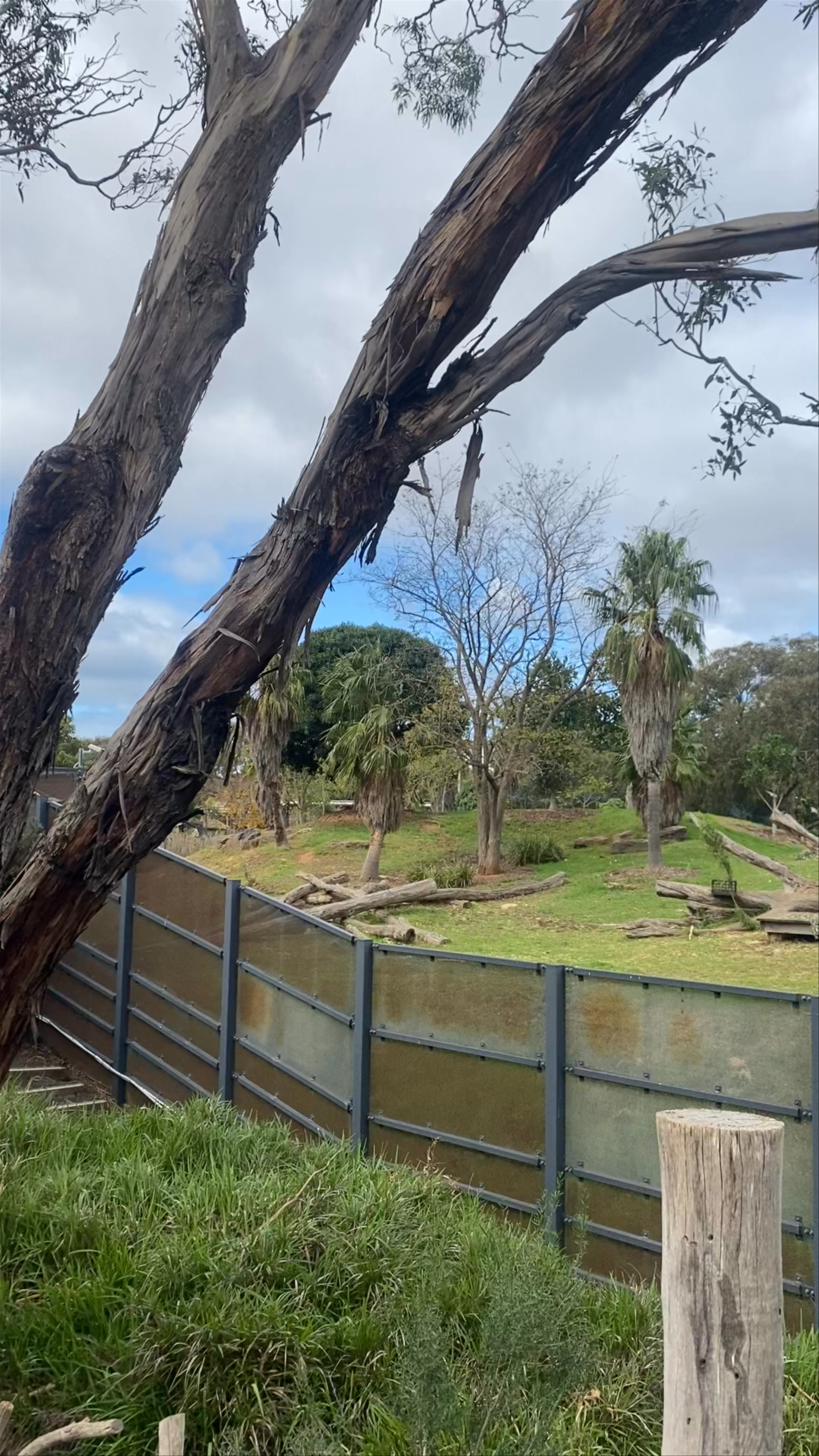 Werribee Open Range Zoo