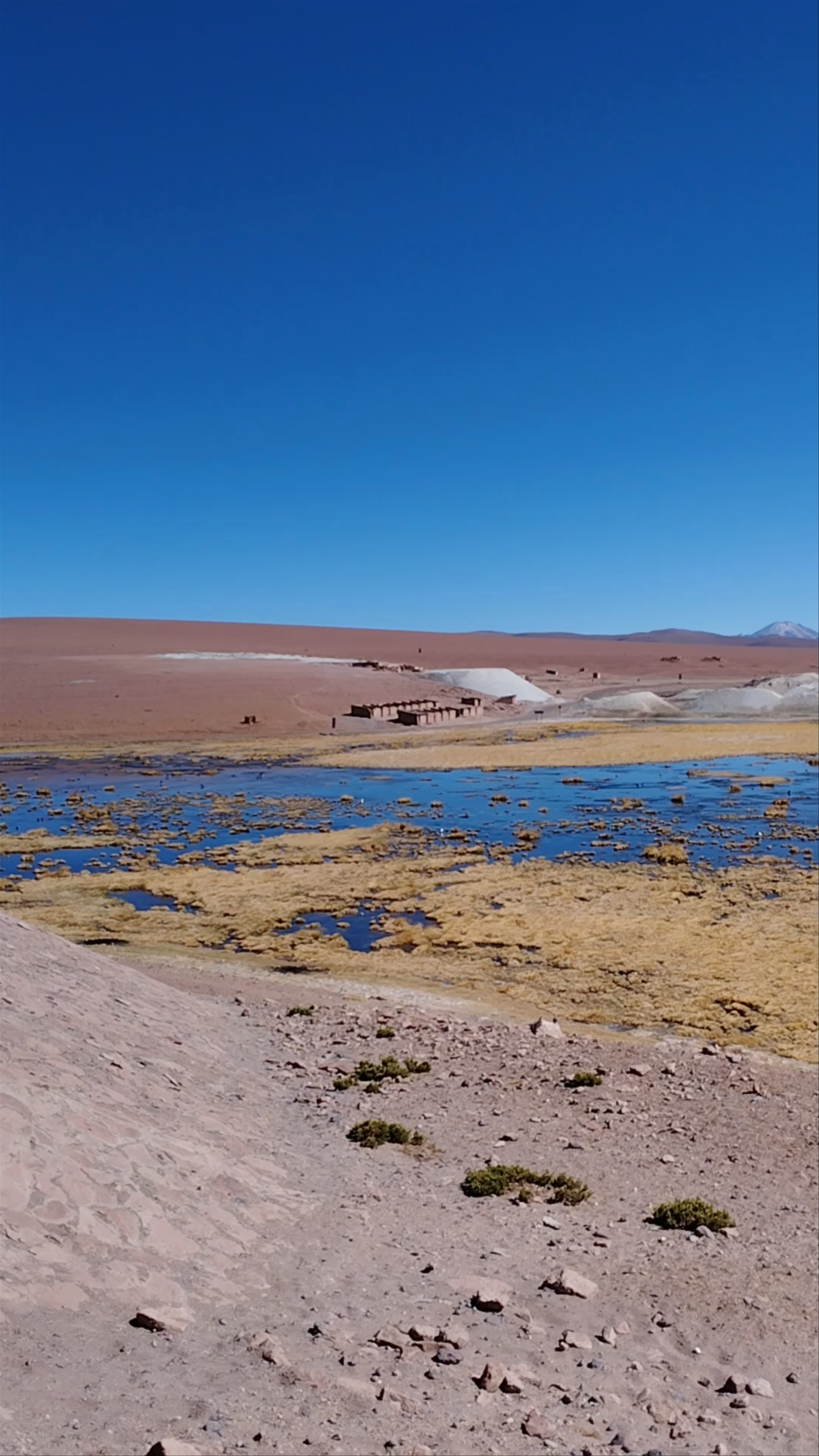Explore the Atacameña Community of Machuca: A Desert Oasis in Chile