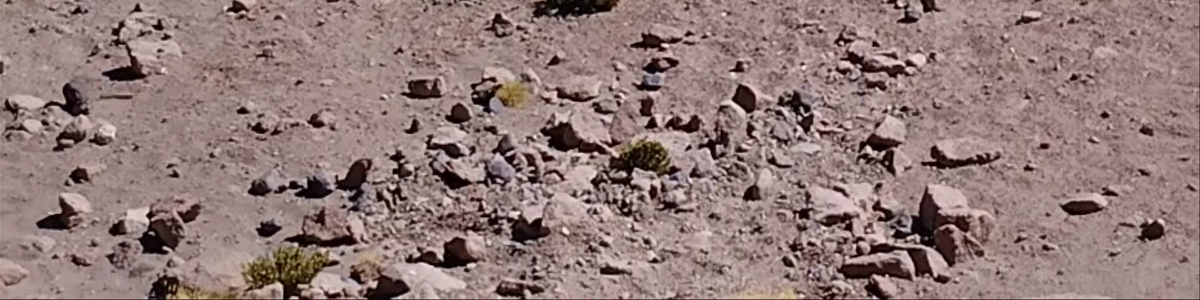 Comunidad Atacameña de Machuca