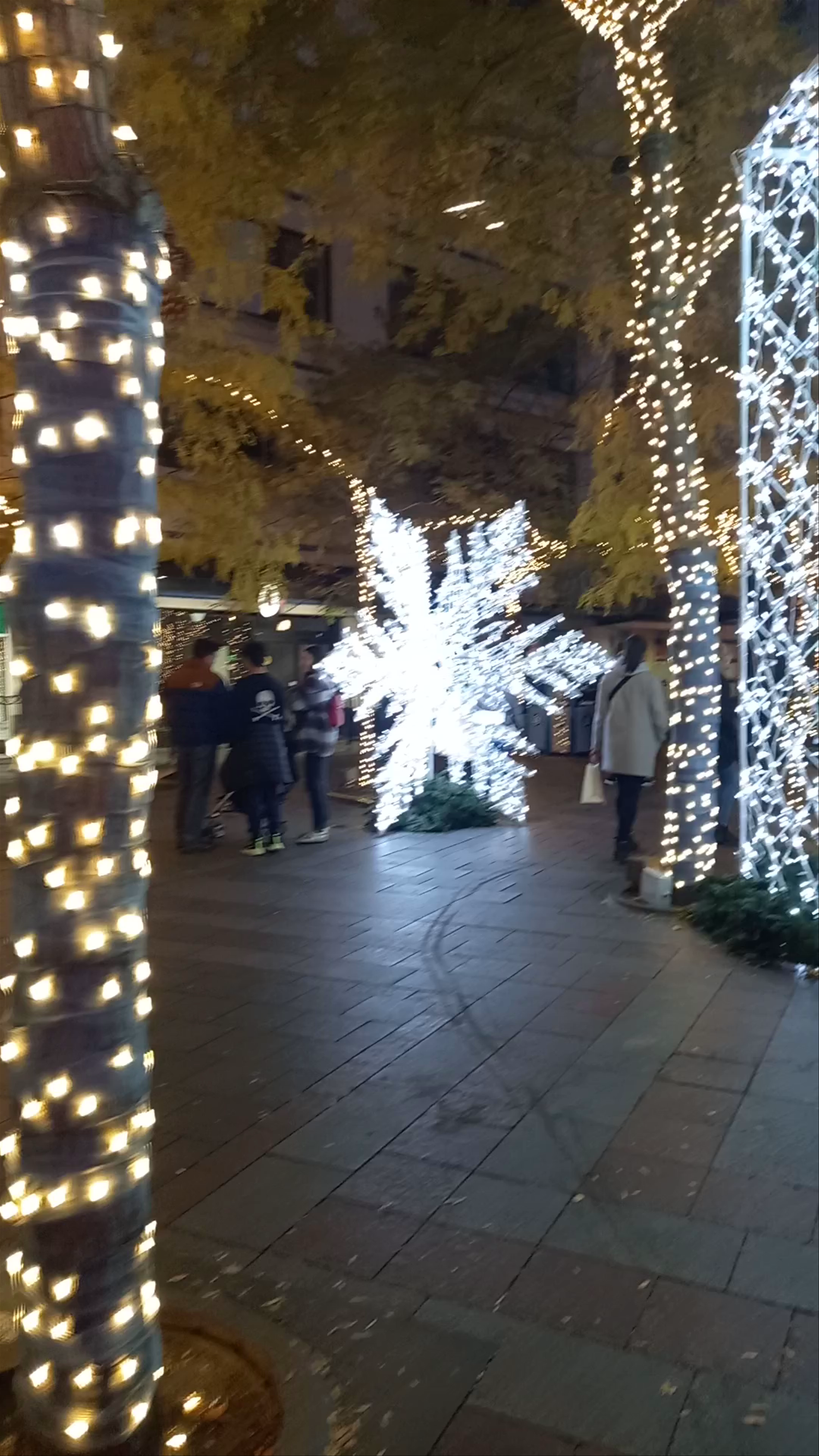 Magical Holiday Lights at Westlake Station, Seattle