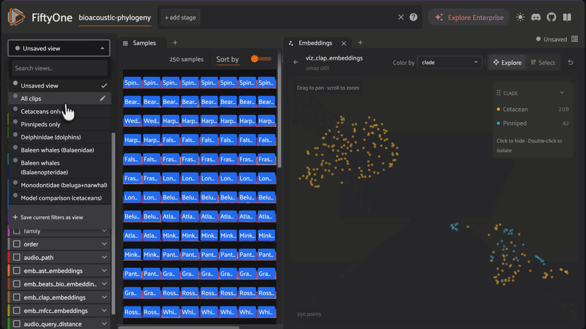 CLAP embeddings plot colored by clade, with cetacean and pinniped points pulling apart and saved views for each group.
