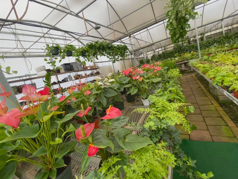 Cordova Gardens - The beautiful Cordova Gardens - Nurseries & Gardening Near Me - Encinitas, California