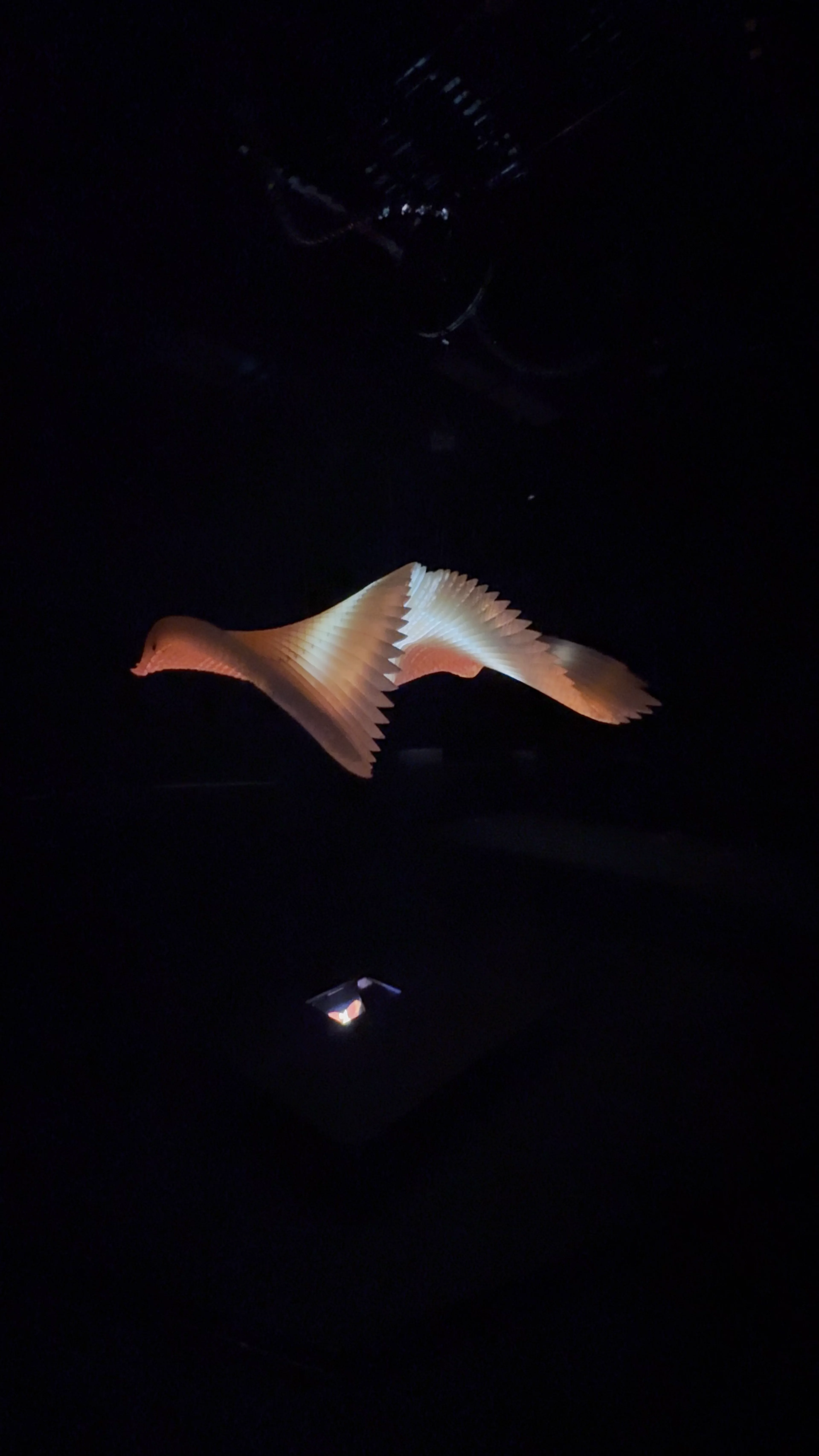 Melbourne Museum
