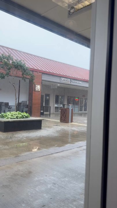 New Genki Ramen - Ramen Near Me - Mililani, Hawaii