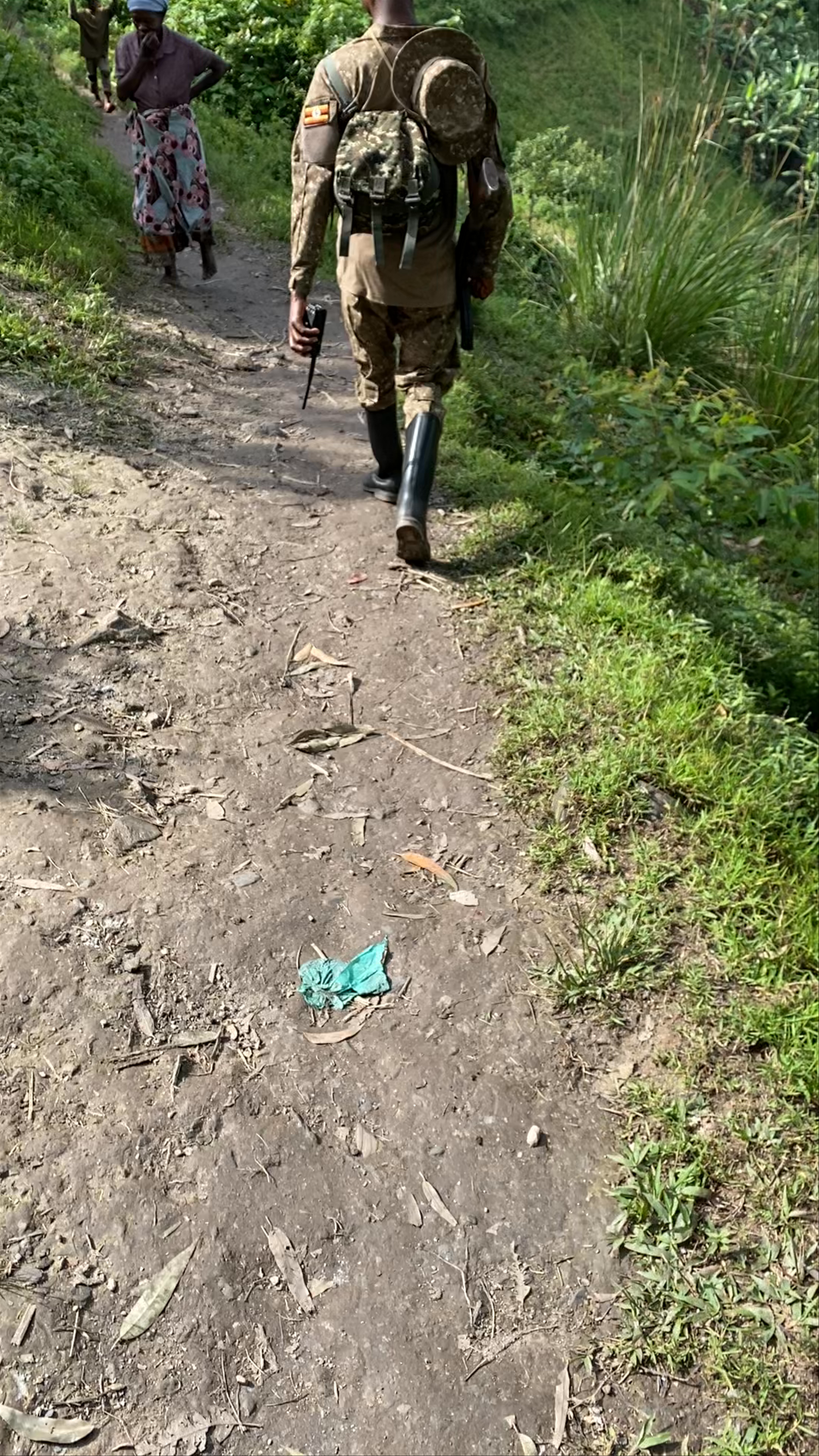 Bwindi Impenetrable Forest