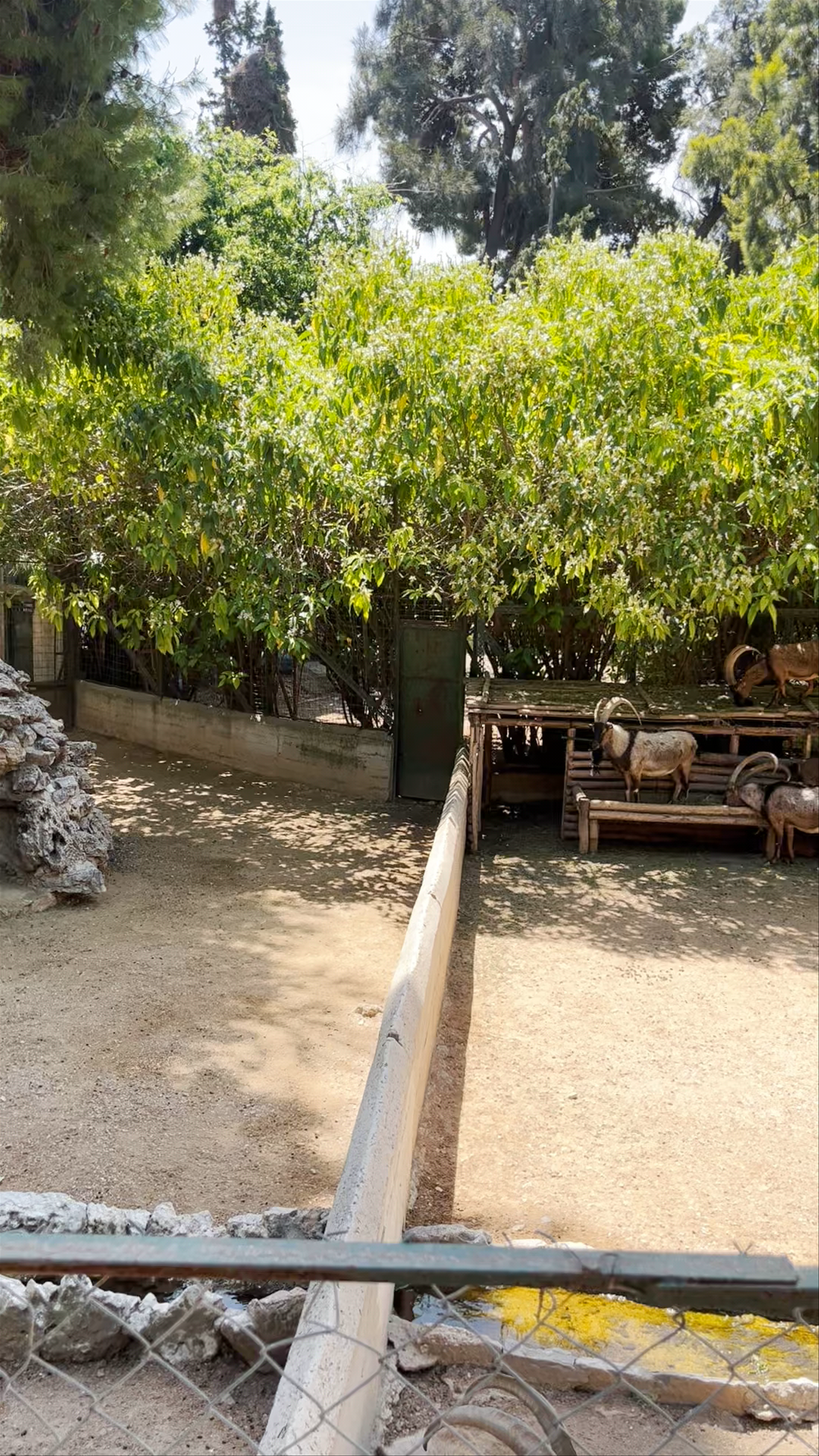 Jardín Nacional de Atenas