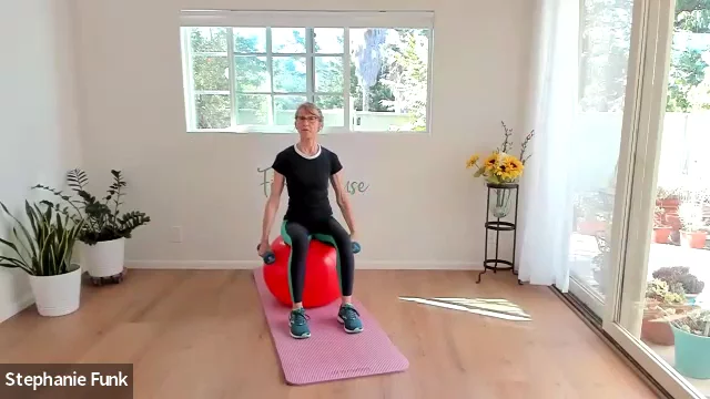 Sample Clip: Pilates Ball Workout