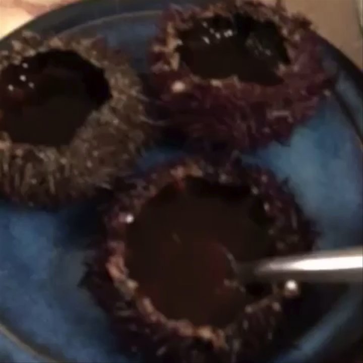 Au Passage - First time having sea urchin like this! - Modern European Near Me - Paris, 75