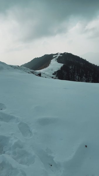 Photo of Wondering and admiri