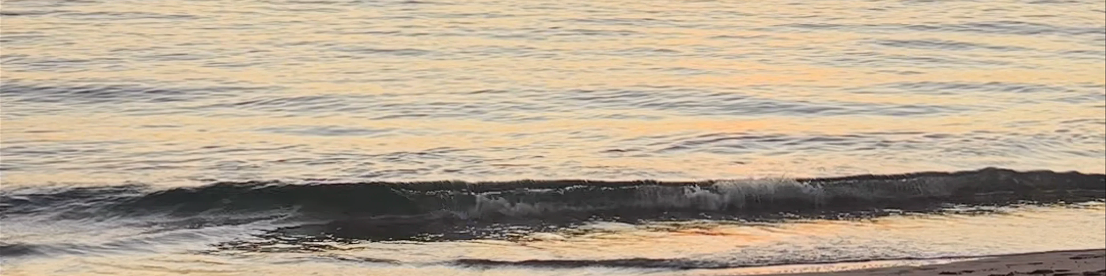 C Y O'Connor Beach