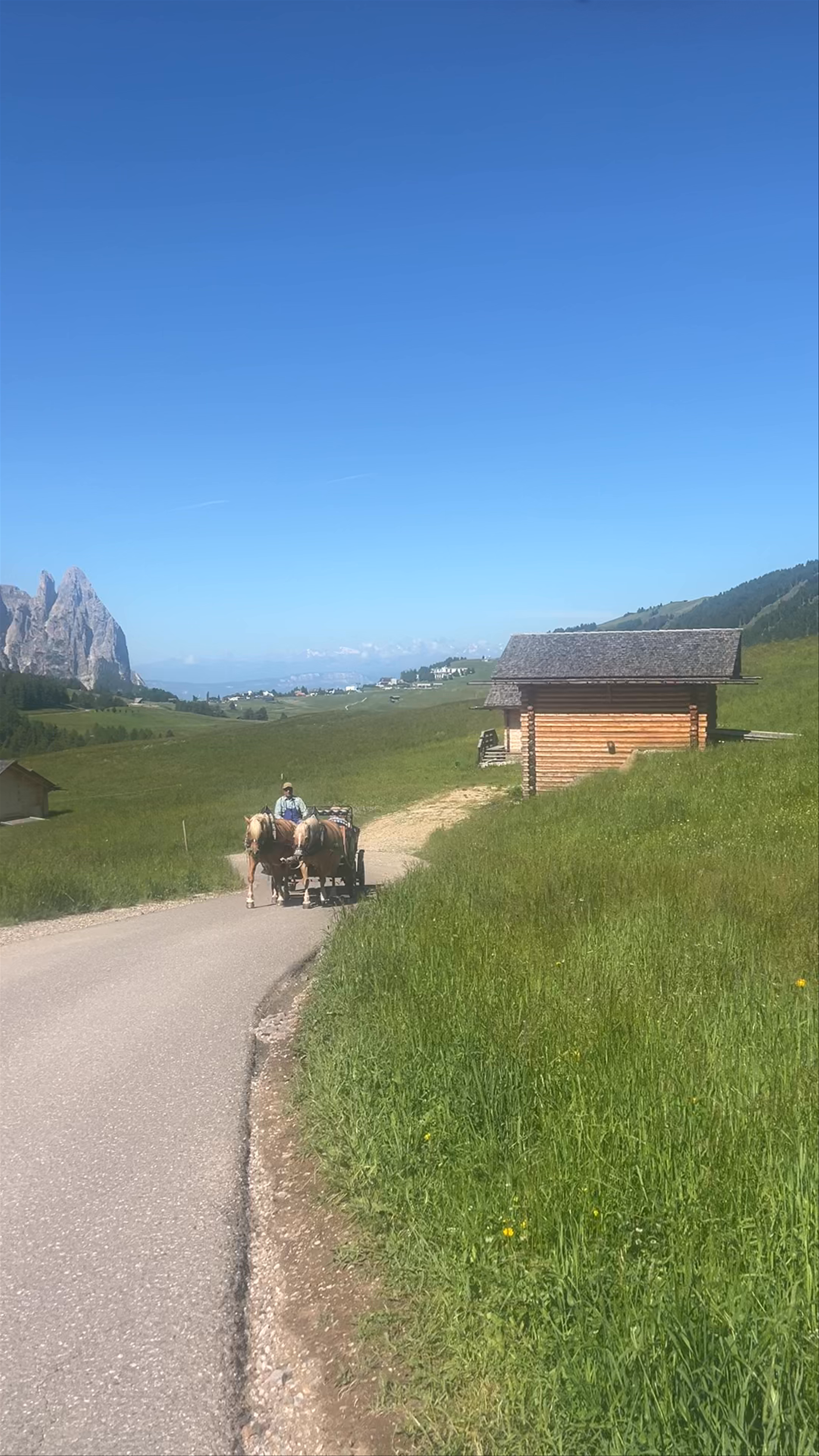 Punta d'Oro Hiking Experience in South Tyrol