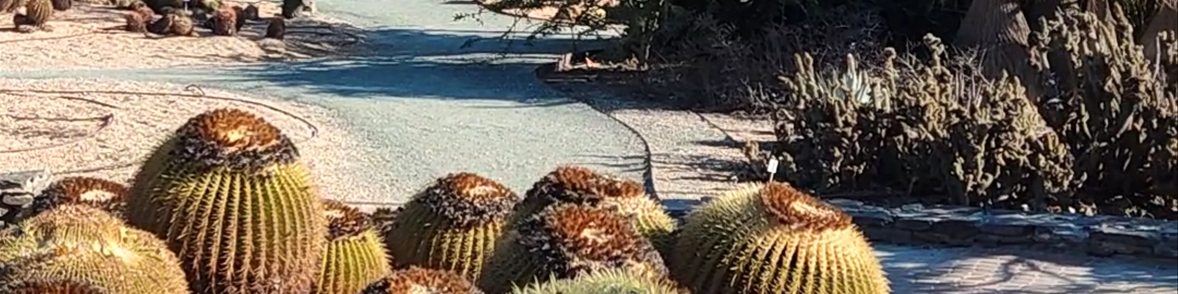 Parque de la Paloma