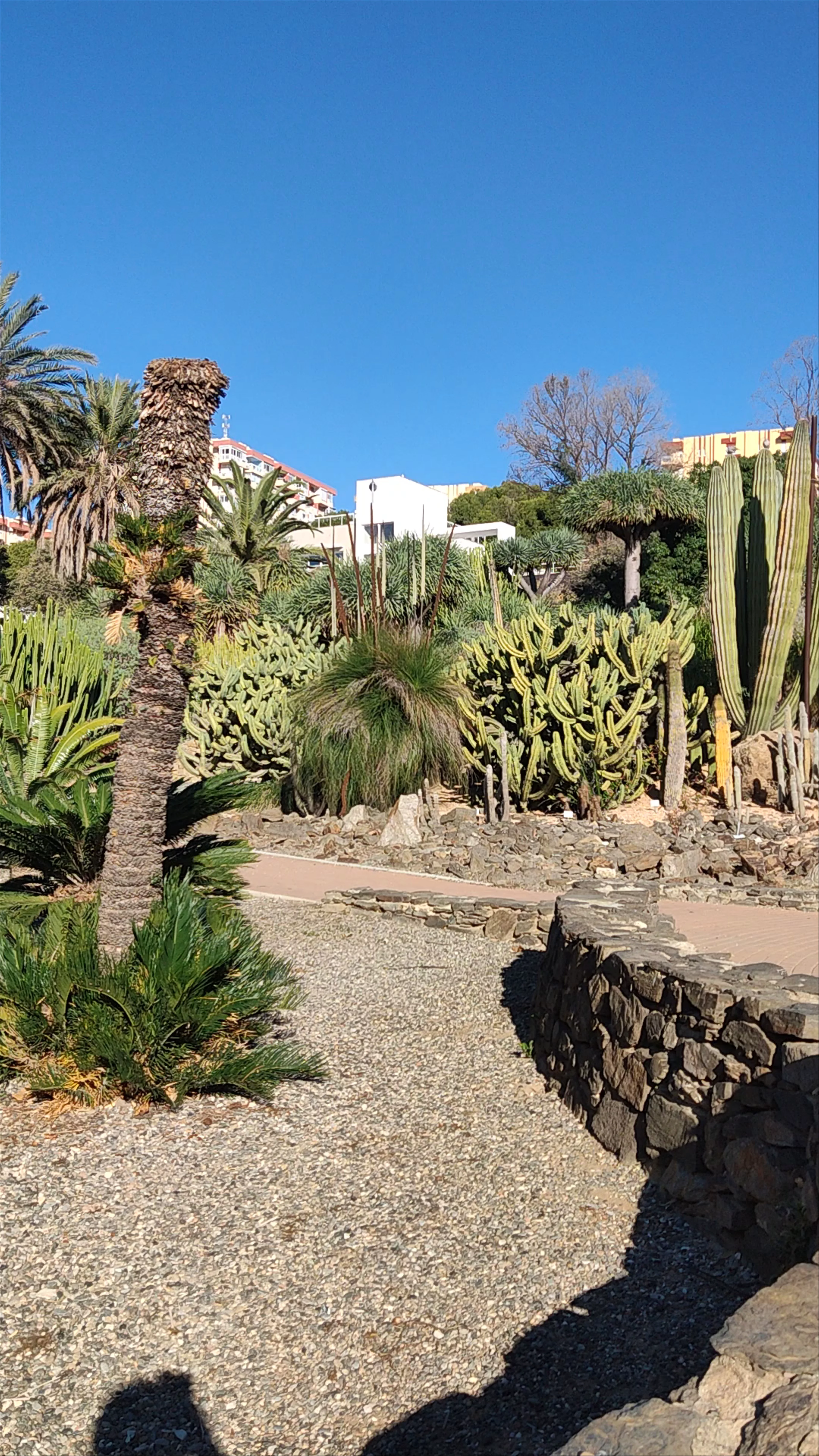 Parque de la Paloma