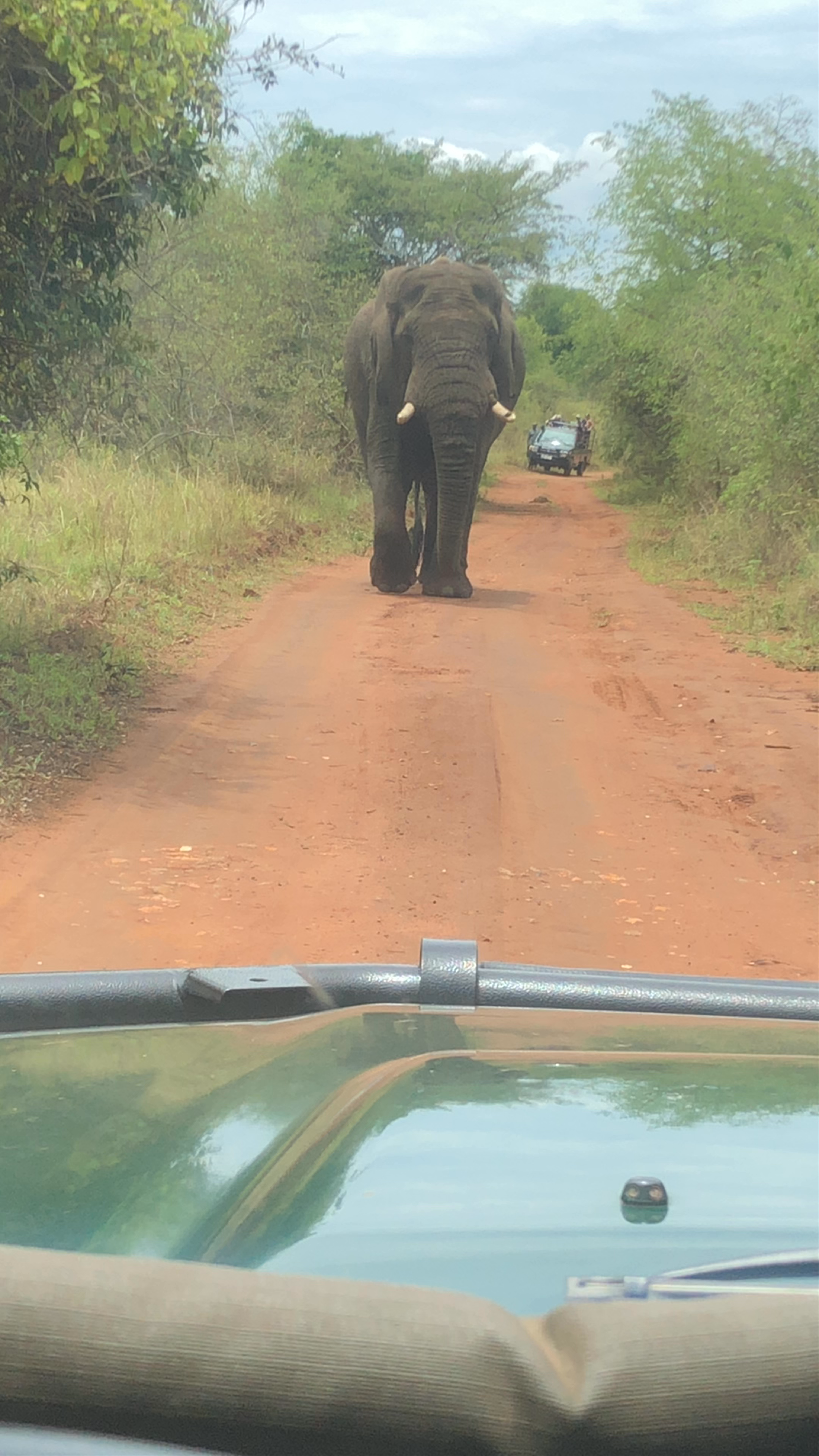 Akagera National Park