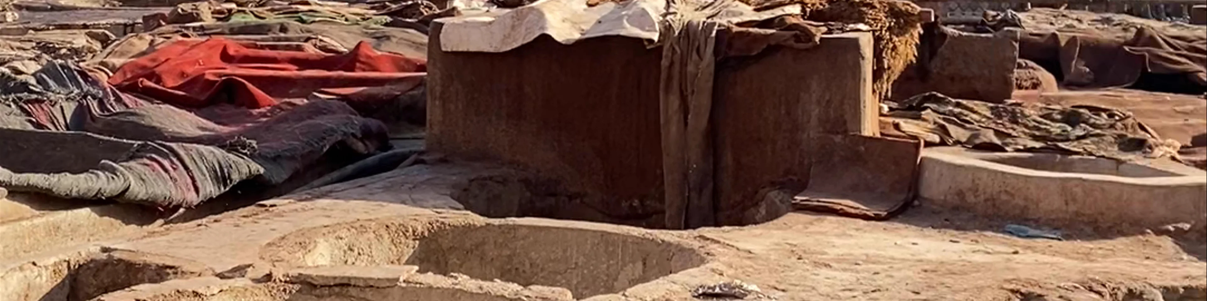 Tanneries