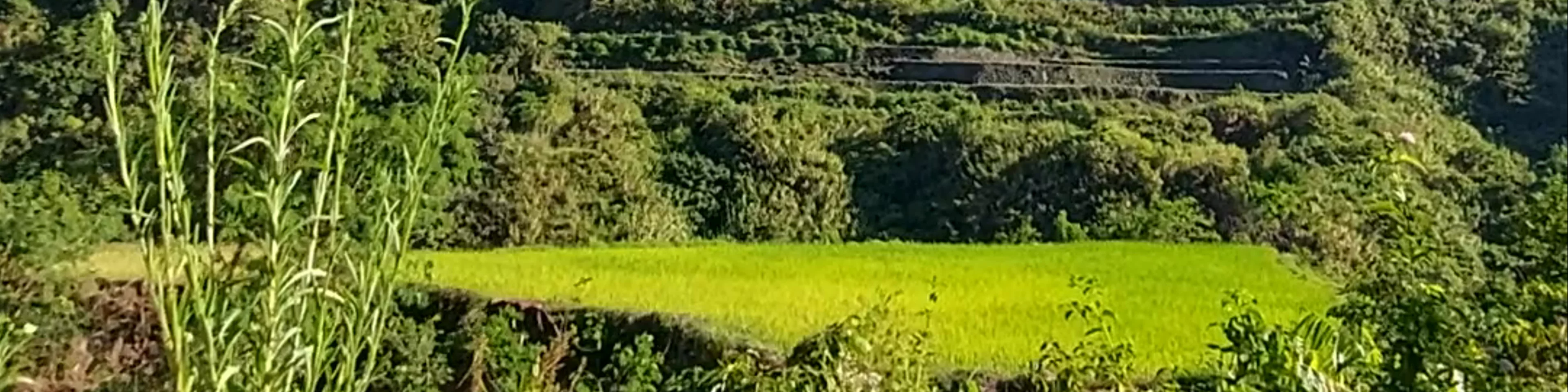 Sagada
