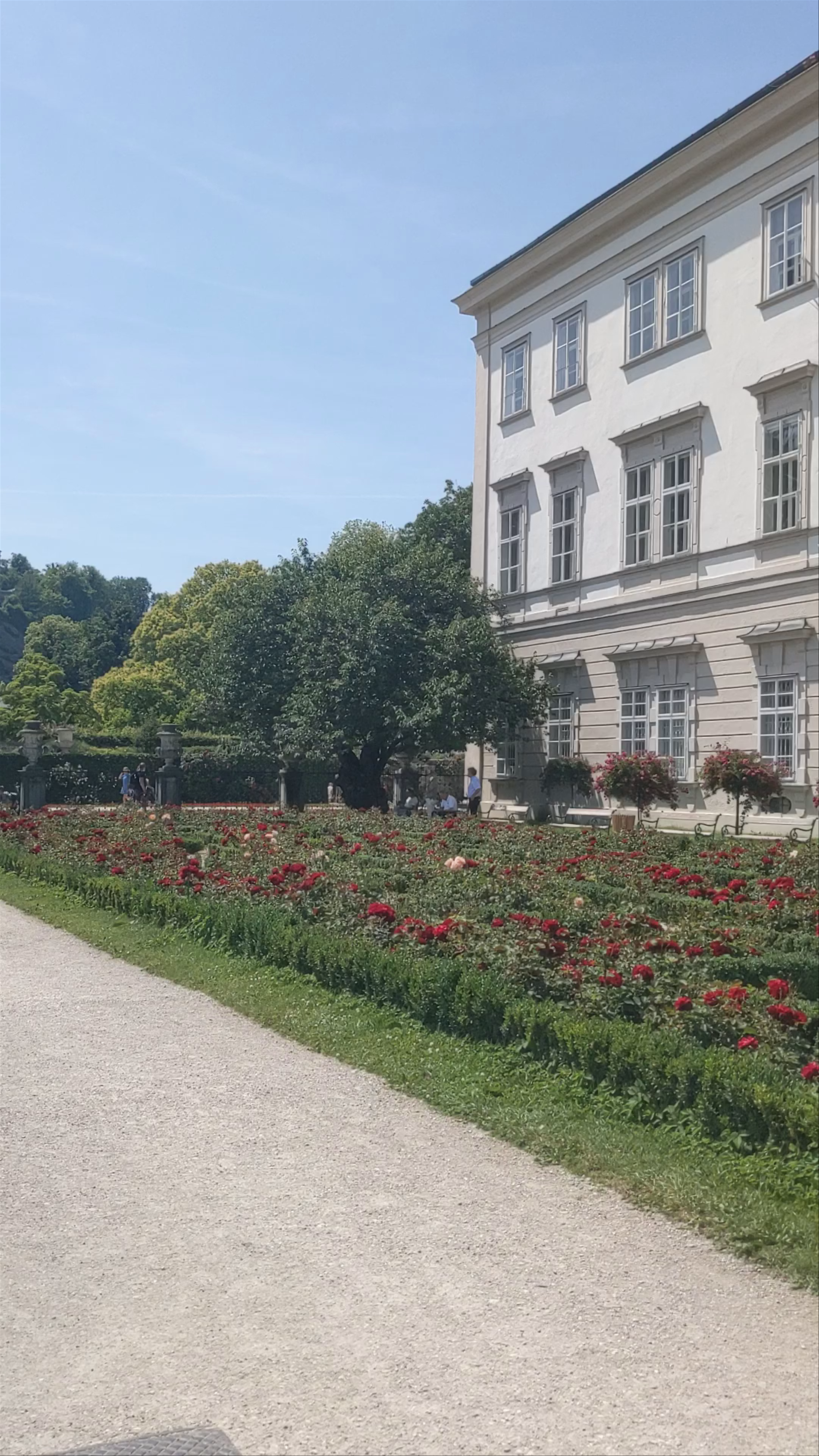 Strolling through Mirabellgarten: Salzburg's Serene Rose Garden