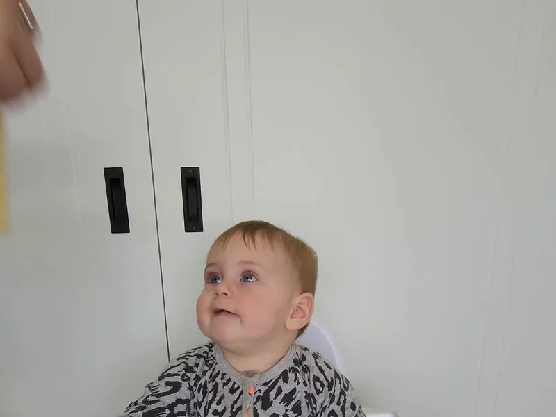 Little Bellies baby and toddler snacks