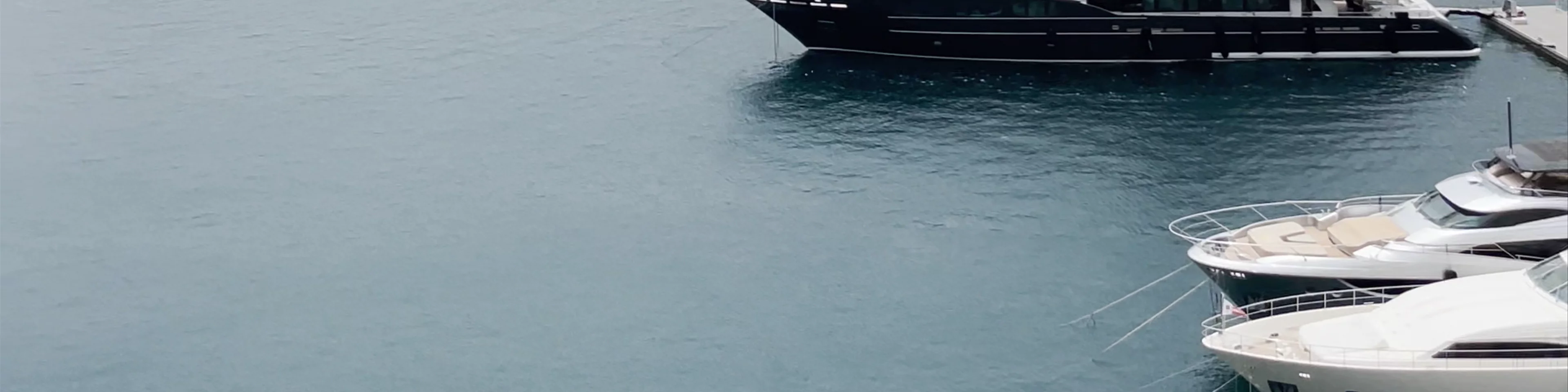 Port Hercule