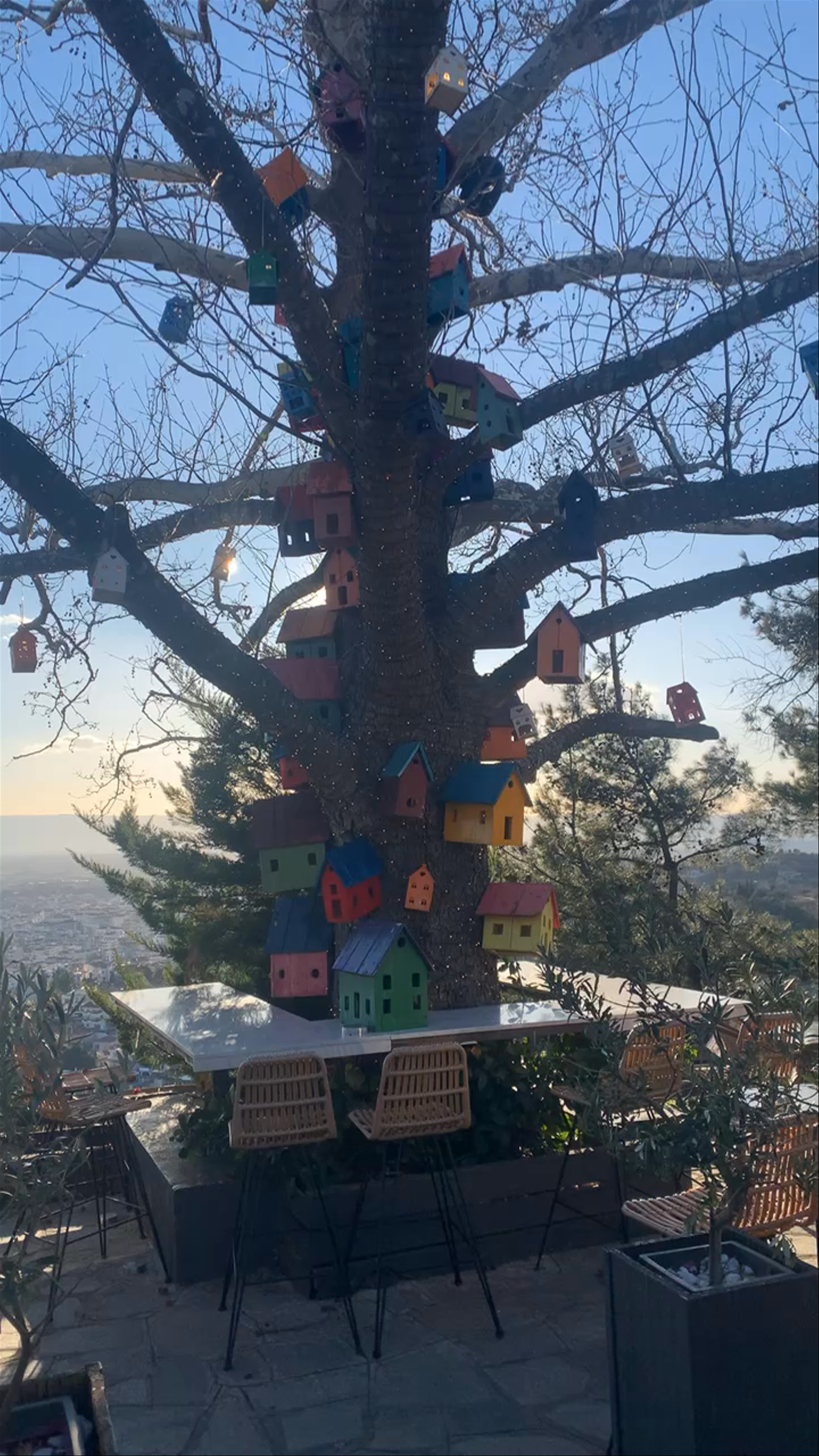 Cityζεν WINE · BAR · RESTAURANT