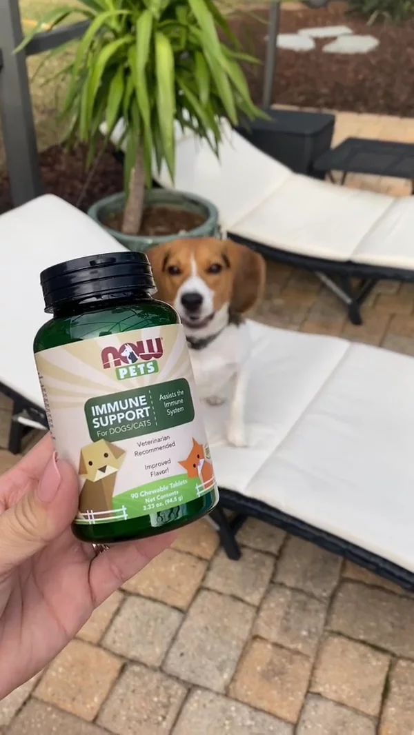 Now Pets 1
