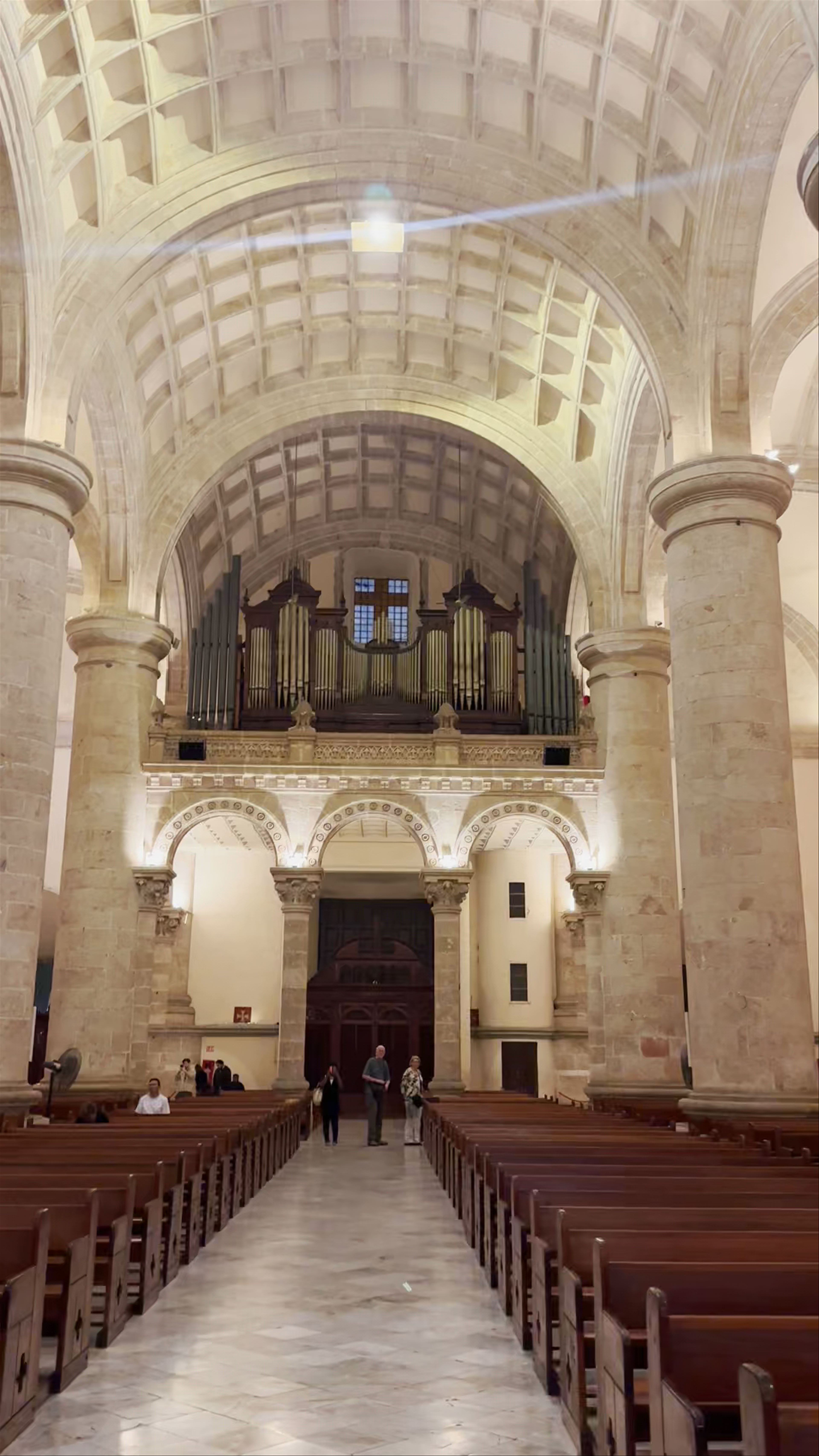 Catedral de San Ildefonso