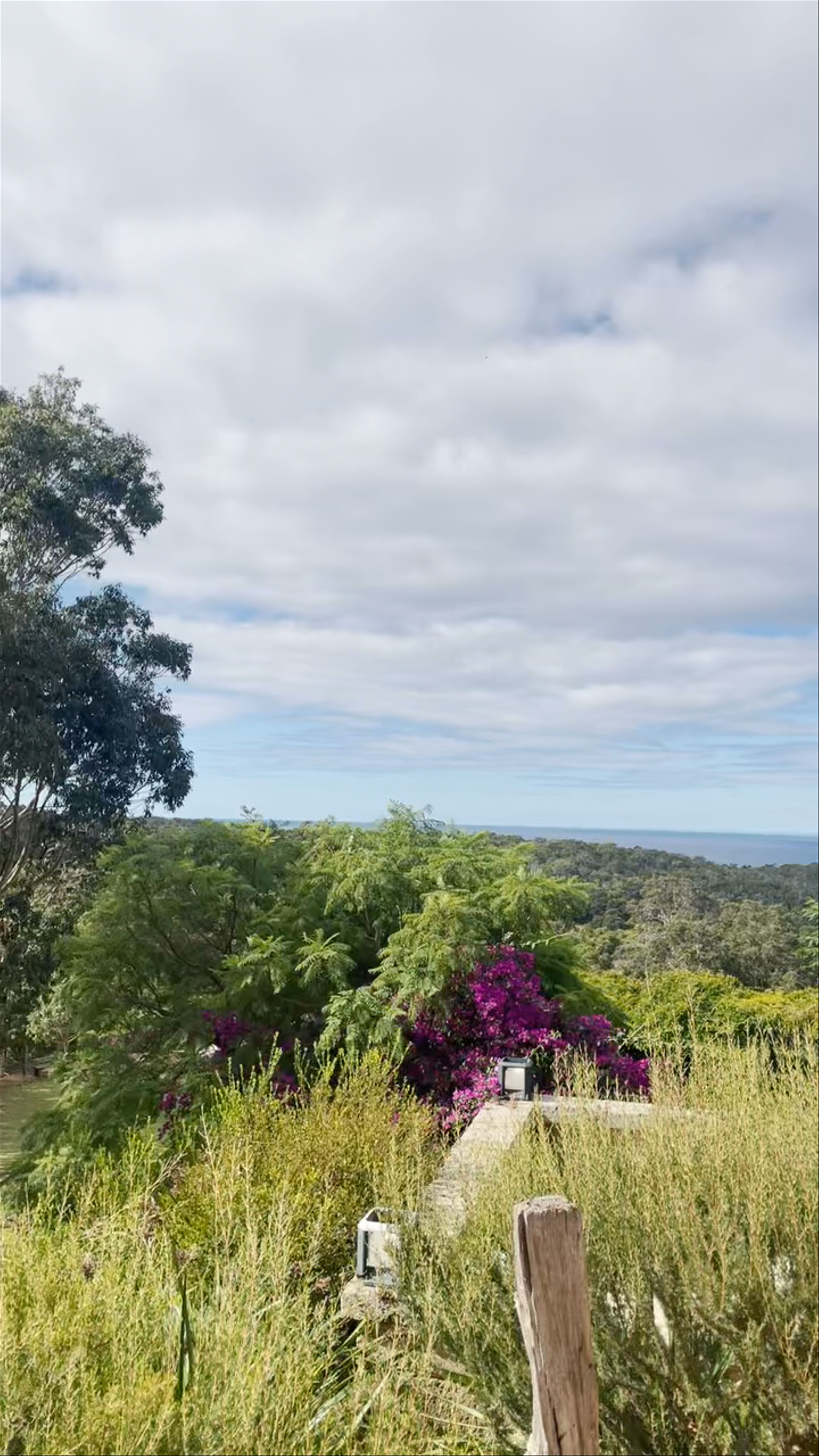 Wise Wine Cellar Door | Eagle Bay