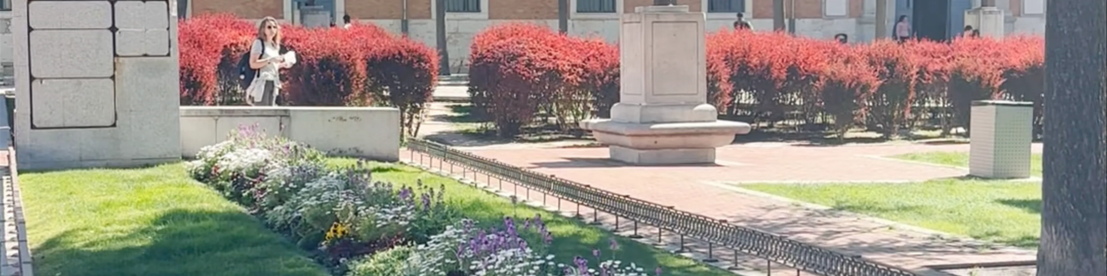 Universidad de Alcalá