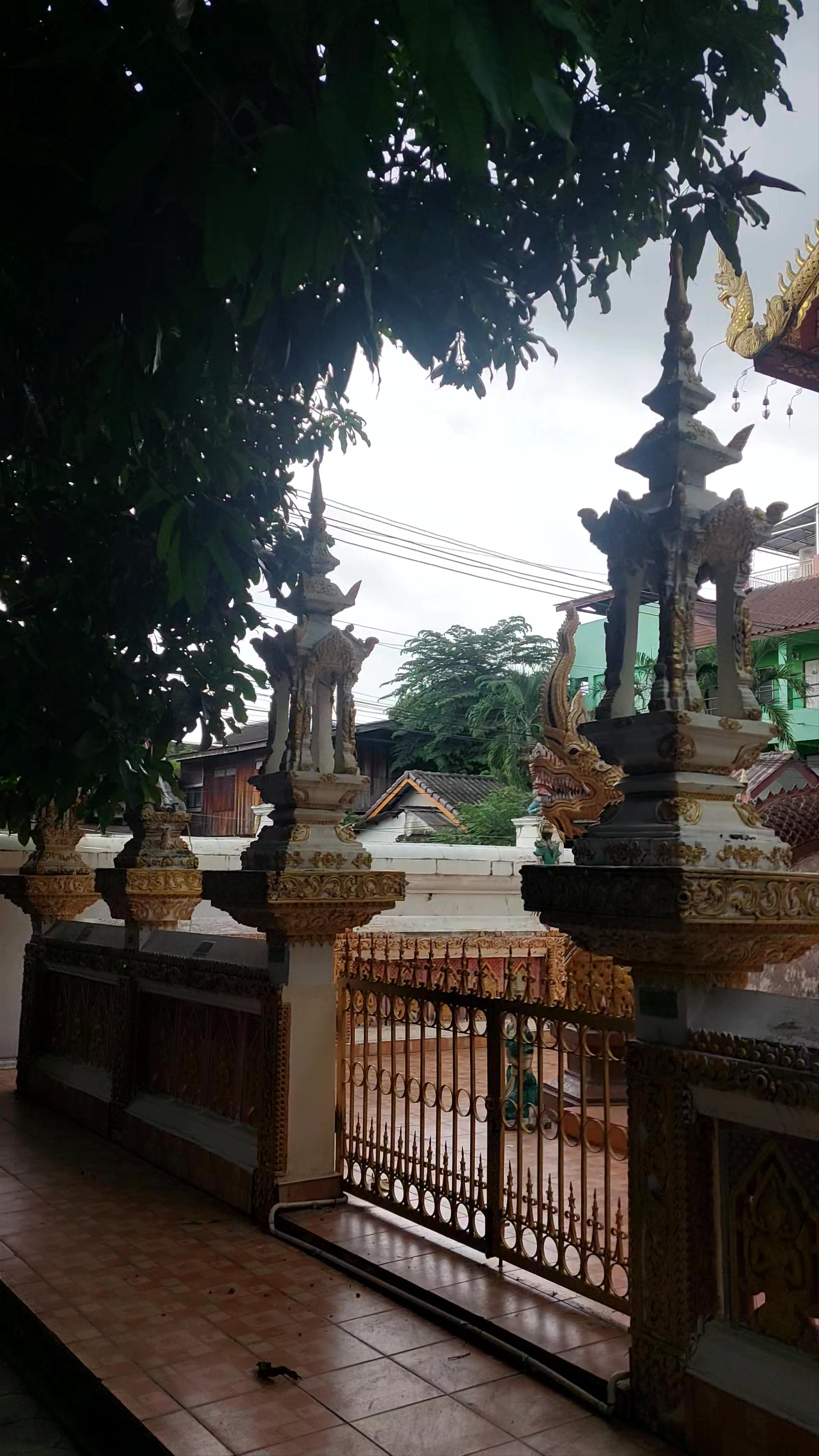 Wat Puak Pia, Thipanet Road, Haiya Sub-district, Mueang Chiang Mai District