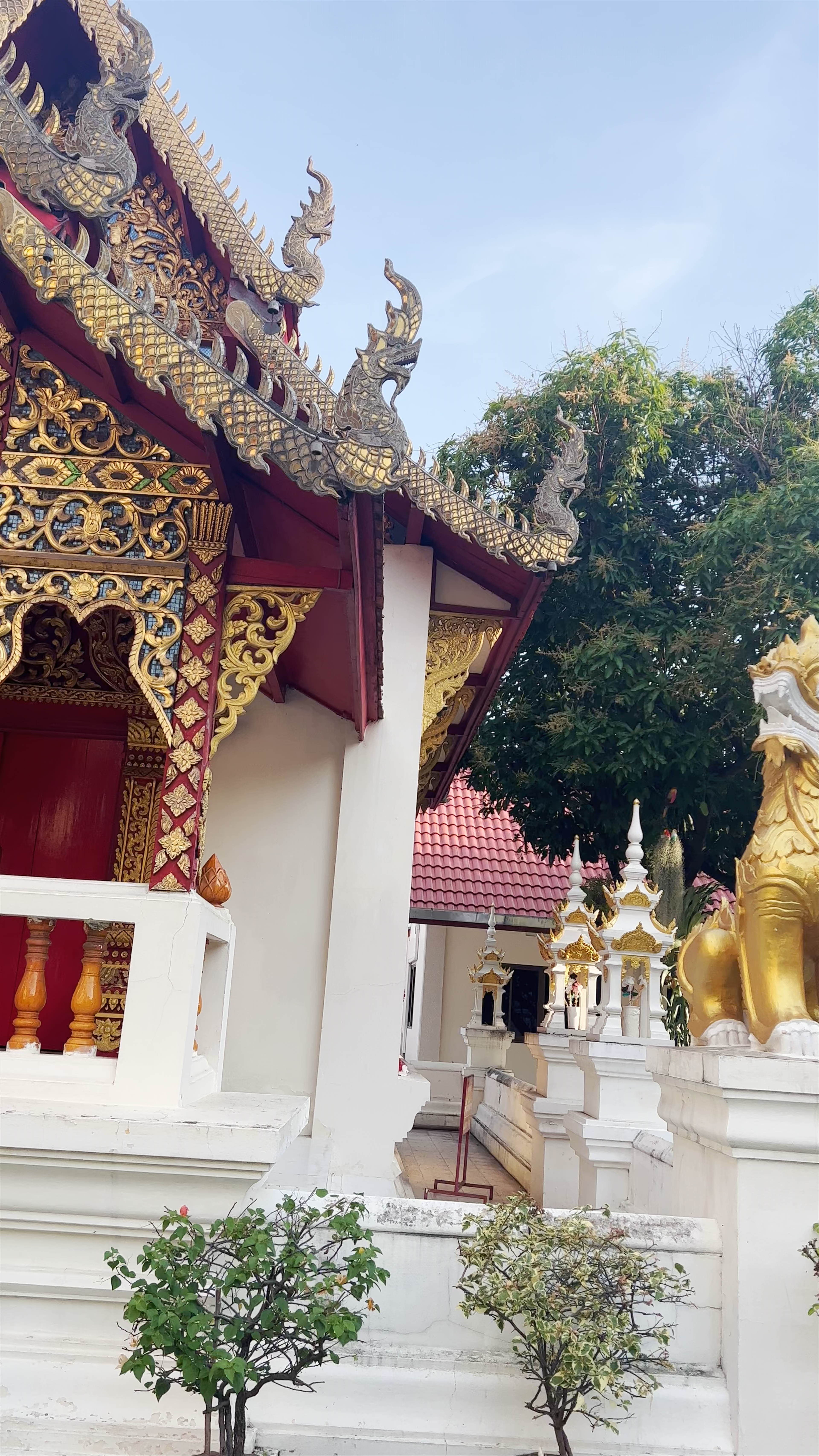 Wat Dok Euang: Serene Temple Escape in Chiang Mai