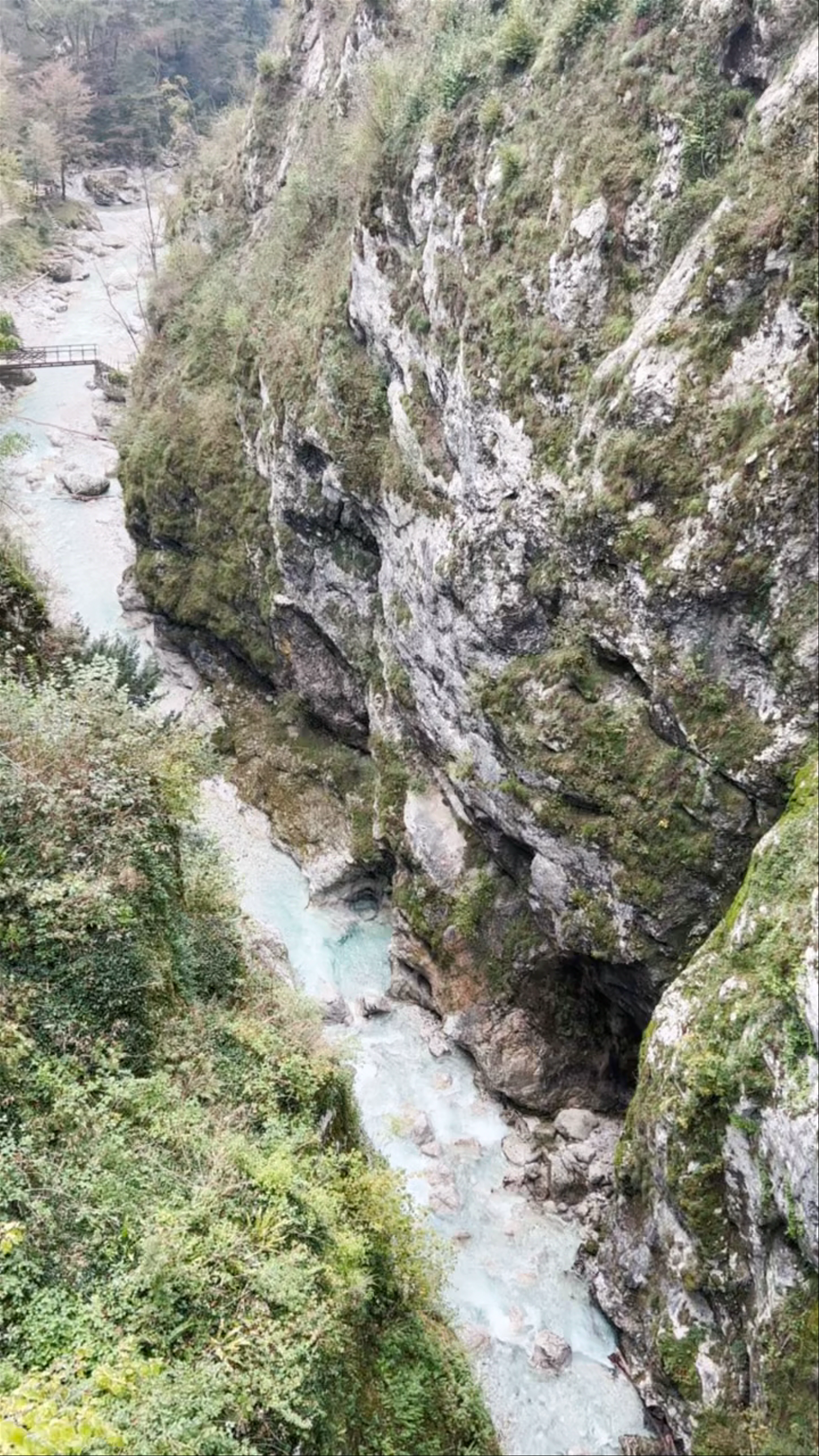 Goriška