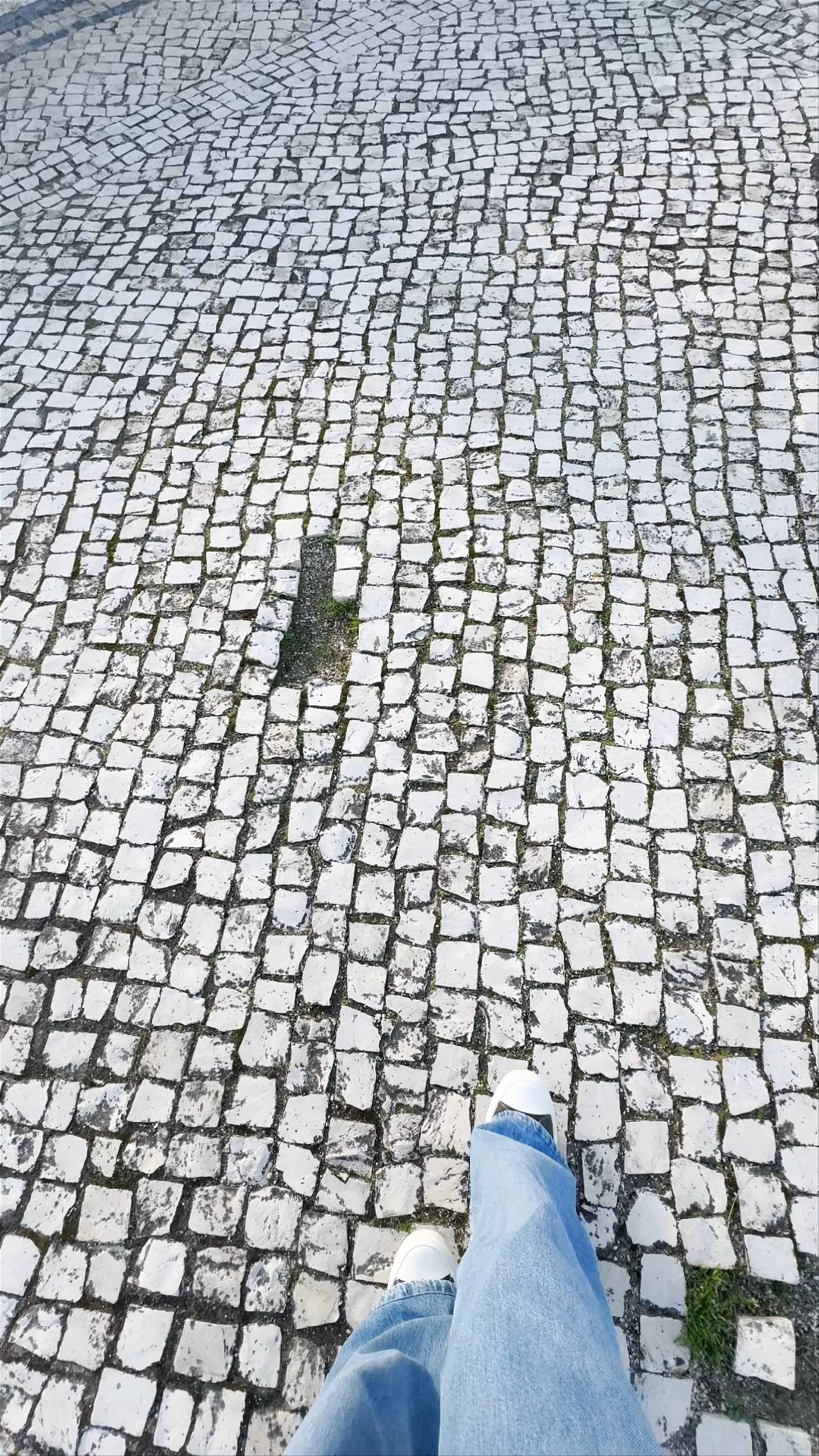 Miradouro da Pederneira