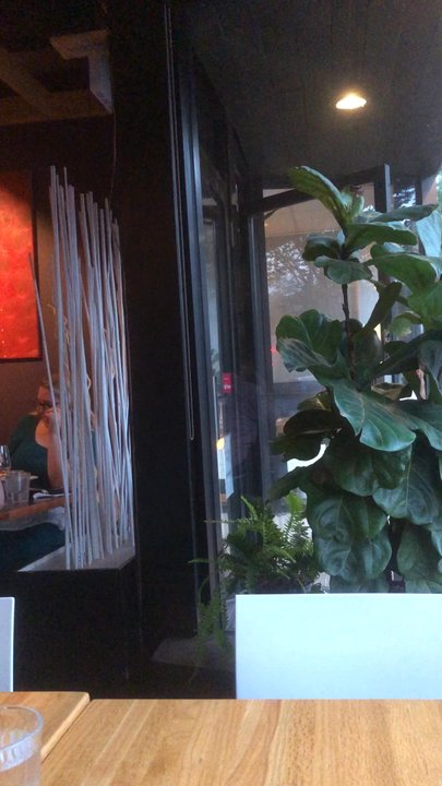 Indie Cafe - Inside - Sushi Bars Near Me - Chicago, Illinois