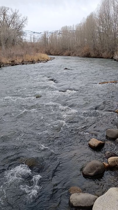 Oxbow Nature Study Area - Truckee River flowing - Parks Near Me - Reno, Nevada