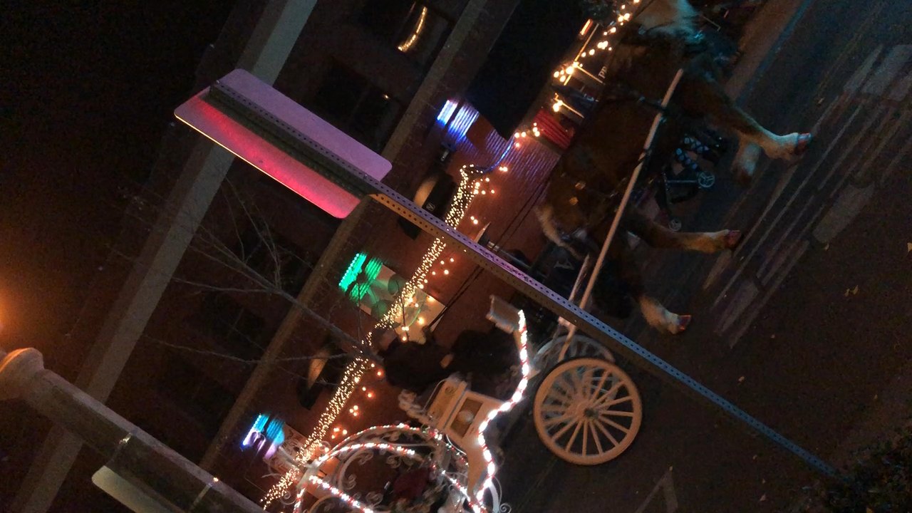 Main Street Pedestrian Mall - Cinderella carriage rides - Shopping Centers Near Me - Riverside, California