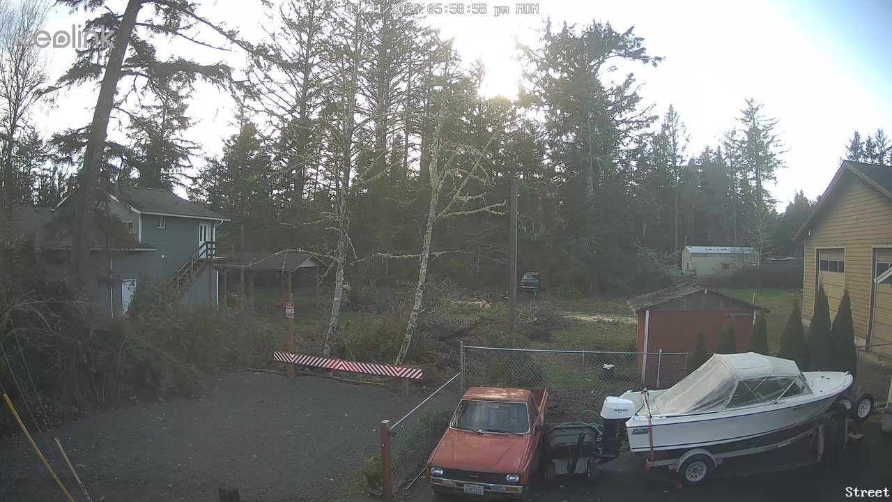 Tnt Tree Service - TNT Trevor using hydraulic jacks to force tree in right direction - Tree Services Near Me - Ocean Park, Washington