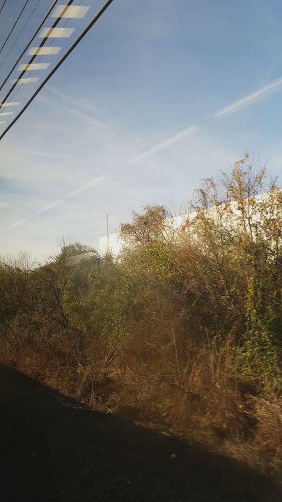 Metro North - New Haven to Grand Central. Under 2 hours. - Public Transportation Near Me - New Haven, Connecticut