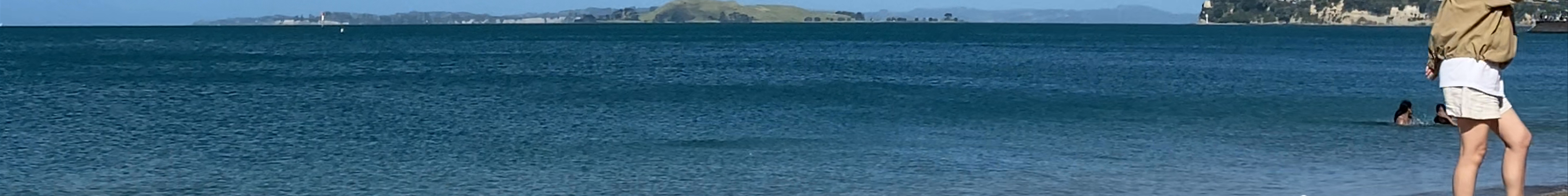 Tours & experiences in Auckland