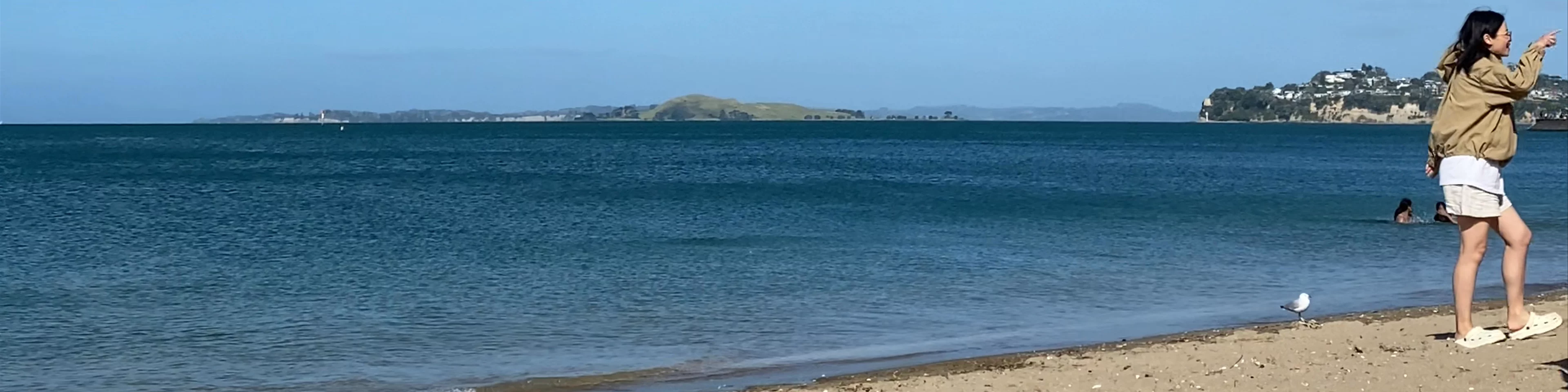 Mission Bay Beach